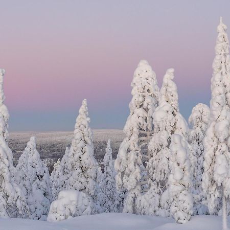 Charming Condo In The Downtown Rovaniemi Luaran gambar
